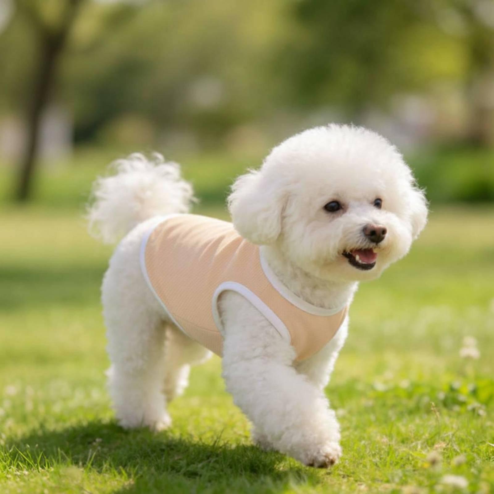 Pet Mesh Vest for Dogs Heat Re - Outdoor Adventure Boys ulasan dan harga